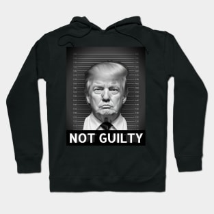 Trump not guilty Hoodie